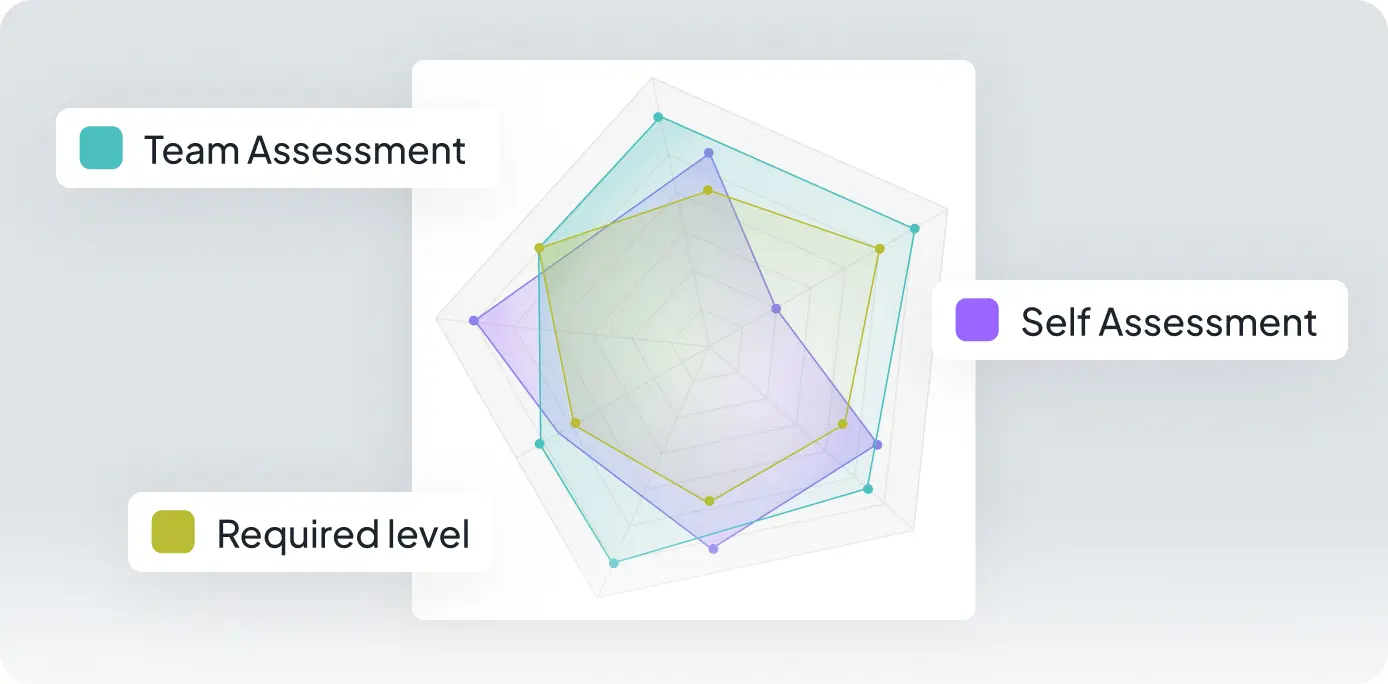 A radar chart comparing team assessment, self-assessment, and the required level.
